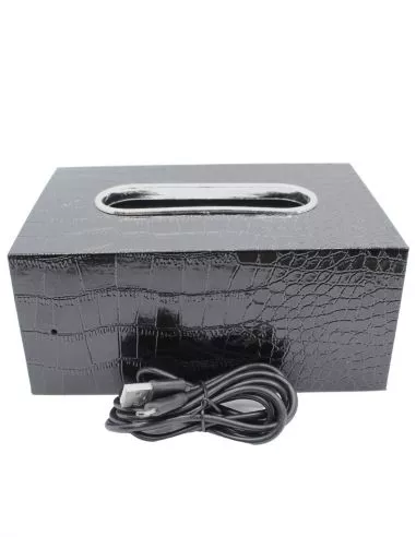 Caméra de surveillance Wifi dans une... Caméra de surveillance Wifi dans une...