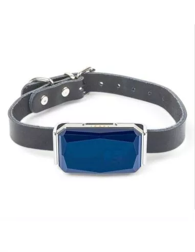 Traceur GPS et micro GSM pour animaux... Traceur GPS et micro GSM pour animaux...