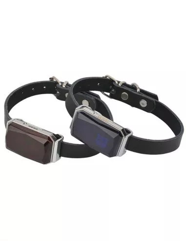 Traceur GPS et micro GSM pour animaux... Traceur GPS et micro GSM pour animaux...